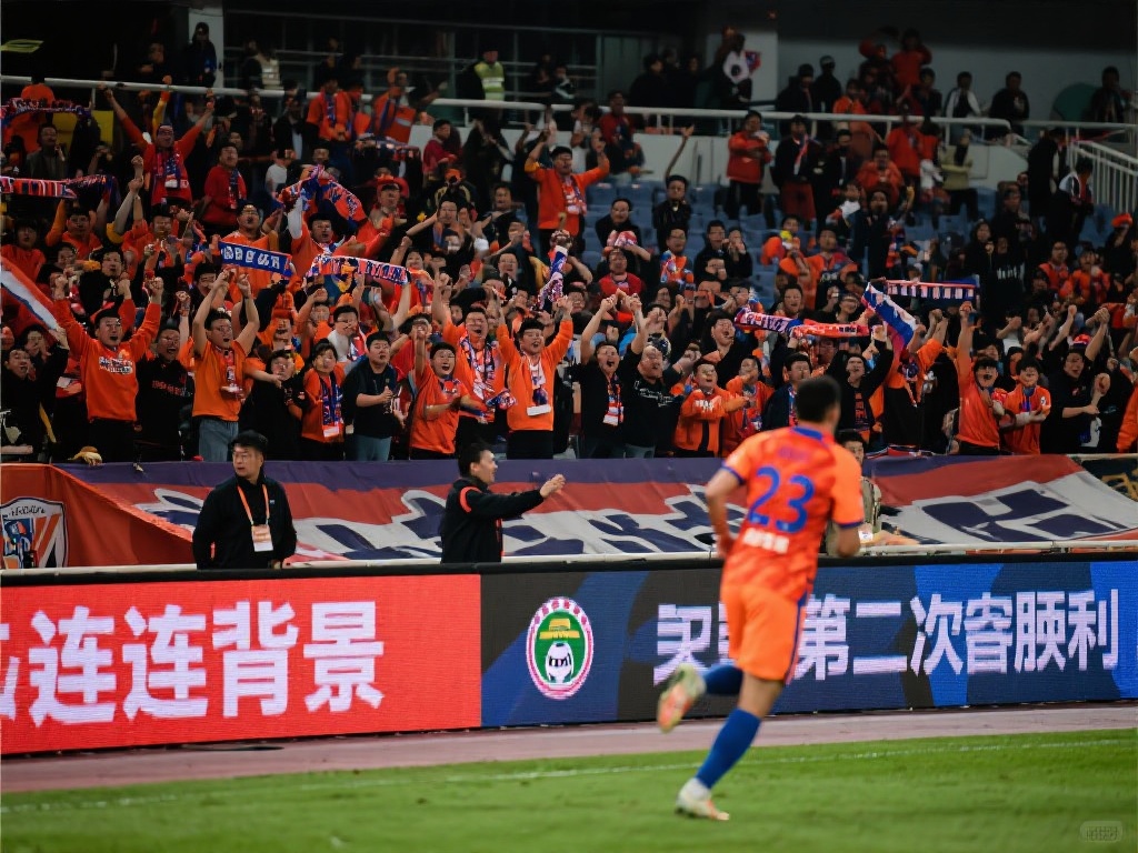 以便更好地 以便更好地