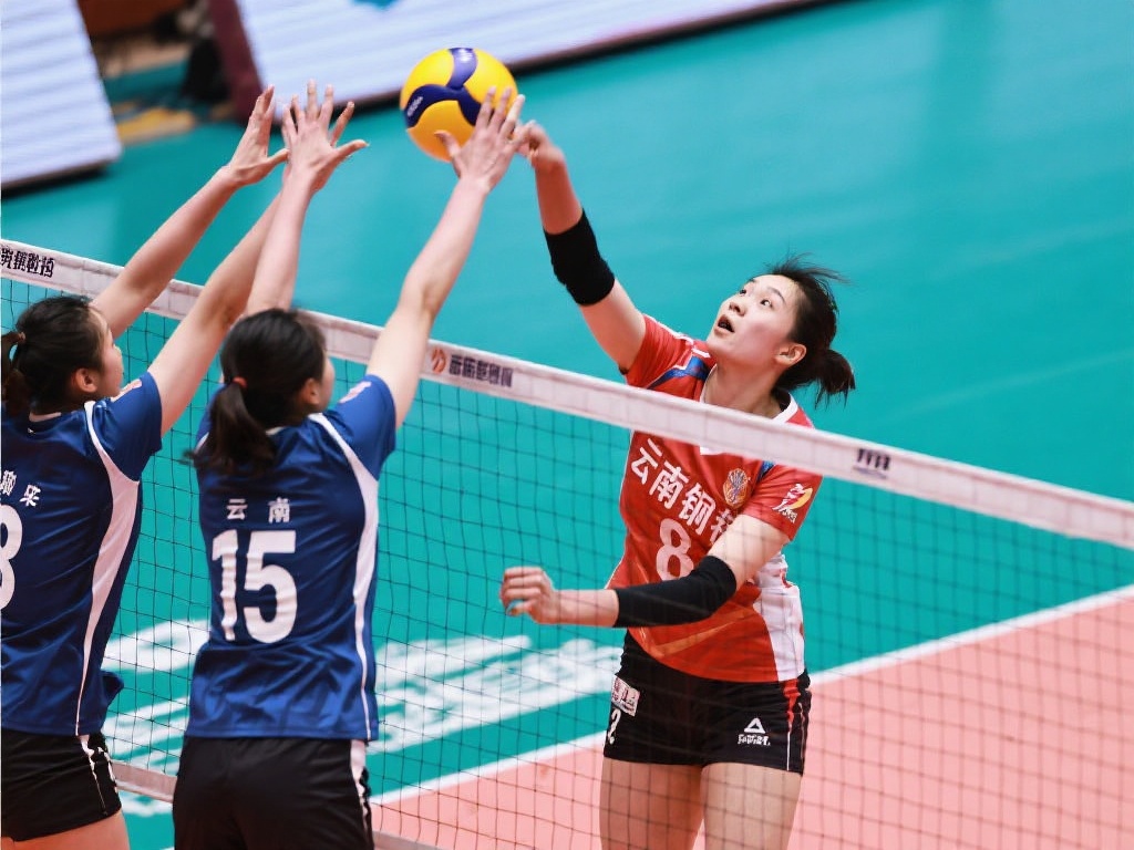 提供一定 提供一定