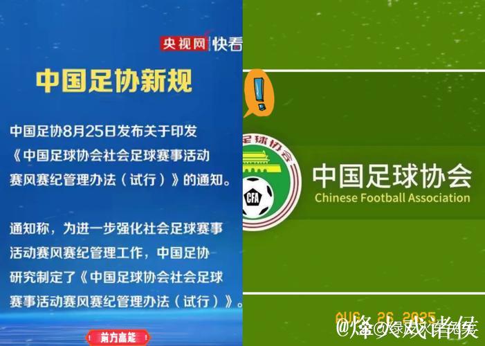 解读：足协调整国字号队伍 国少重归国管部